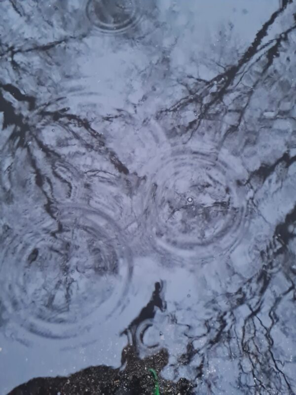 WhatsApp Image 2026-02-13 at 16.59.56